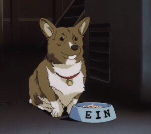 Ein