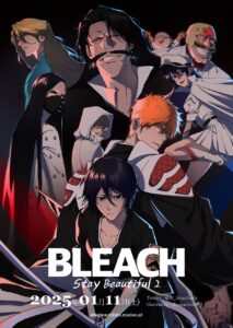 What is Bleach Anime All About